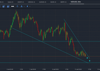 nzdusd