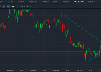 nzdusd