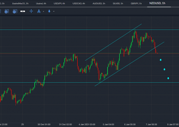 nzdusd