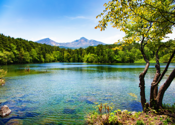 Japan Mount Bandai with lake and tree in Springtime