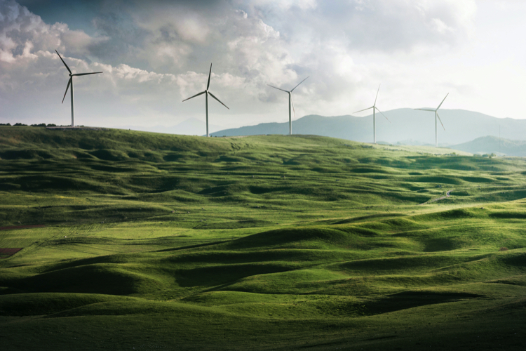 Valley of windmills