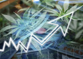 Cannabis Stocks Soaring High Quality Stock Photo