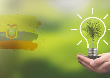 Light bulb with growing tree. Ecological friendly and sustainable environment