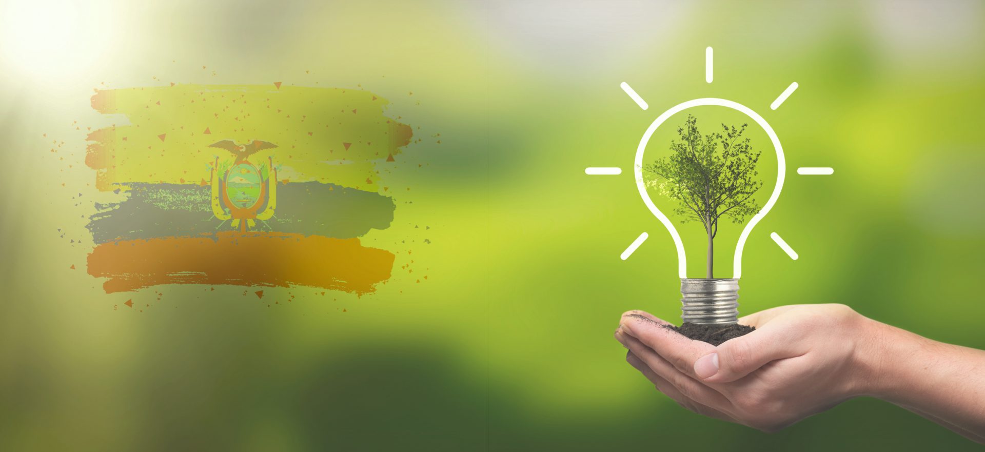 Light bulb with growing tree. Ecological friendly and sustainable environment