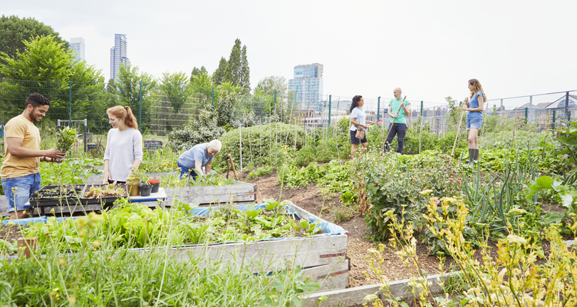 Group of volunteers working in community garden