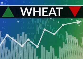 Price change on trading Wheat futures on green and blue finance background from graphs, charts, columns, pillars, candles, bars, number. Trend up and down. 3D illustration. Financial derivatives market concept