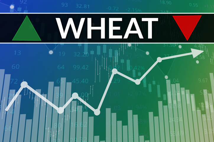 Price change on trading Wheat futures on green and blue finance background from graphs, charts, columns, pillars, candles, bars, number. Trend up and down. 3D illustration. Financial derivatives market concept