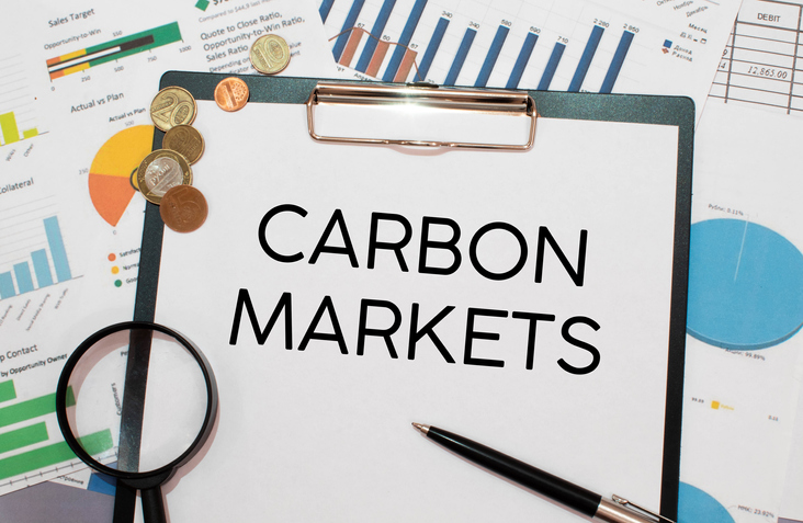 CARBON MARKETS. text on white paper near dollar bills