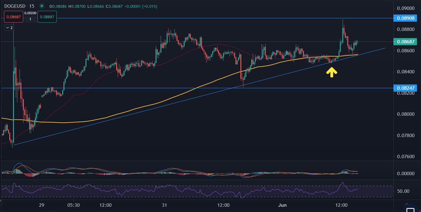 DOGEUSD