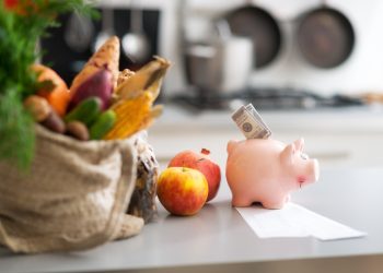 Closeup on money in piggy bank and purchases from local market on table